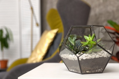 Photo of Terrarium with succulents on table in room. Trendy plants for home