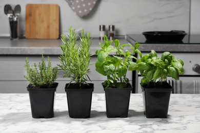Photo of Pots with basil, thyme, mint and rosemary on white marble table in kitchen