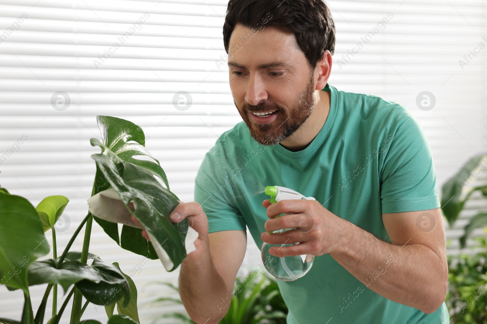 Photo of Man spraying beautiful potted houseplants with water indoors