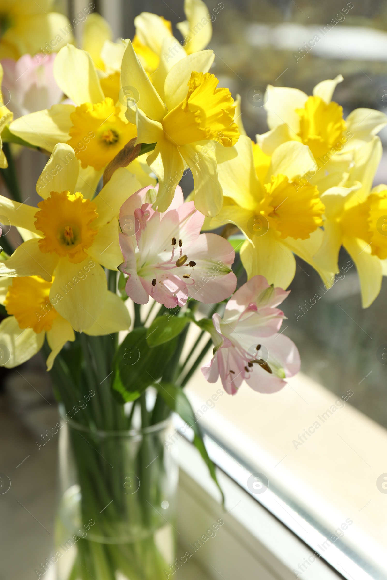 Photo of Bouquet of beautiful tender flowers near window