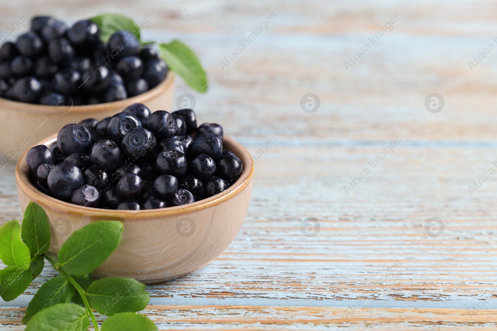 Photo of Bowls with tasty fresh bilberries and leaves on old light blue wooden table, closeup. Space for text