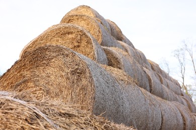 Photo of Many hay bales against blue sky, low angle view