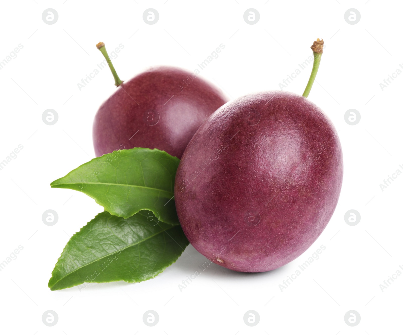 Photo of Fresh ripe passion fruits (maracuyas) with green leaves isolated on white