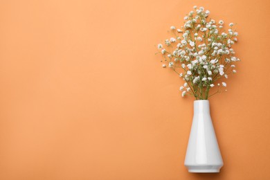 Beautiful gypsophila flowers in vase on orange background, top view. Space for text
