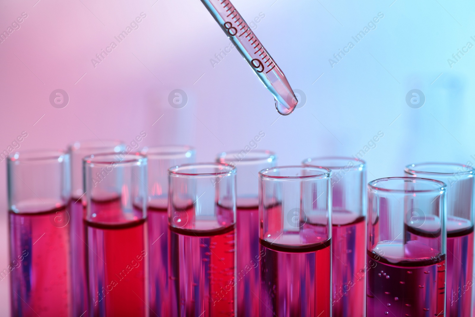 Photo of Dripping reagent into test tube with red liquid, closeup. Laboratory analysis