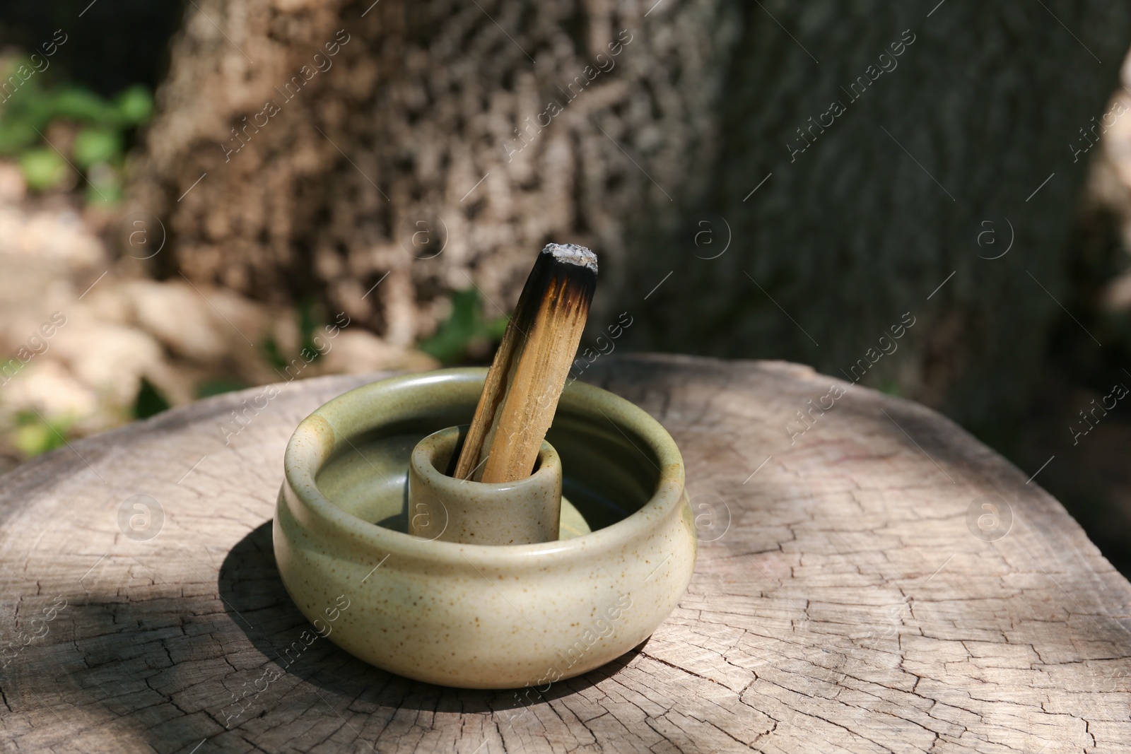 Photo of Smoldering palo santo stick in holder on wooden stump outdoors