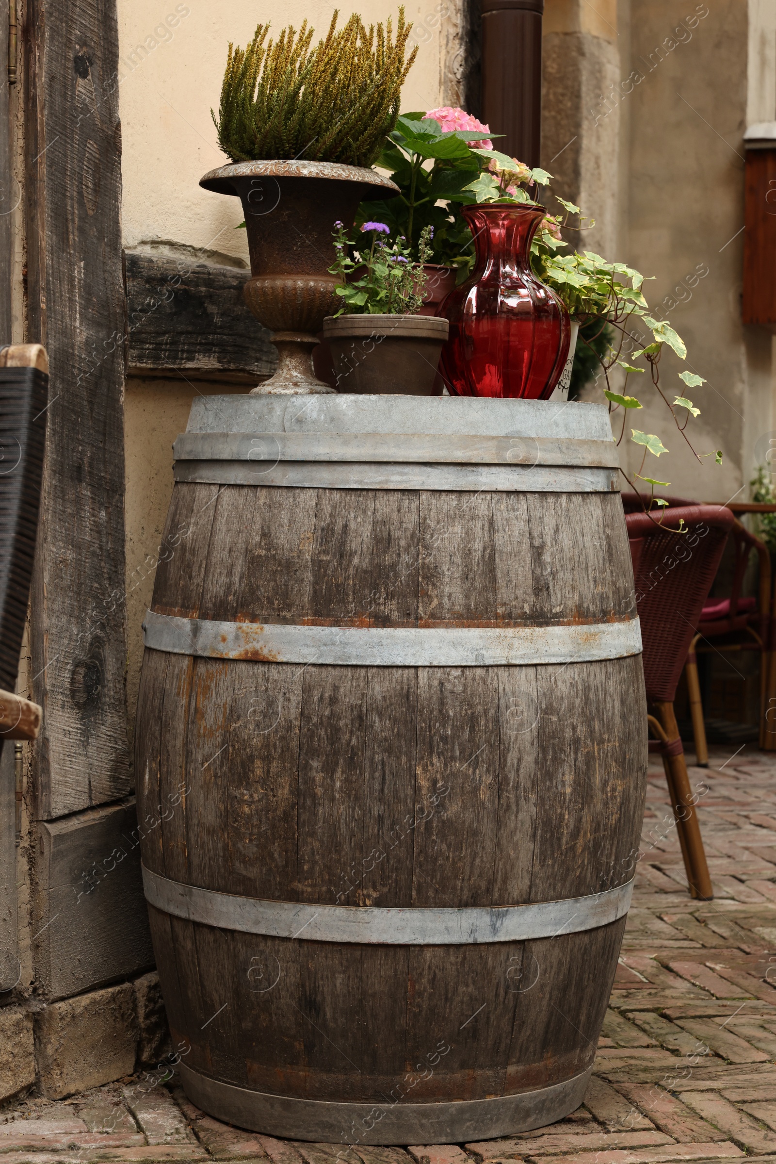 Photo of Traditional wooden barrel and beautiful houseplants outdoors