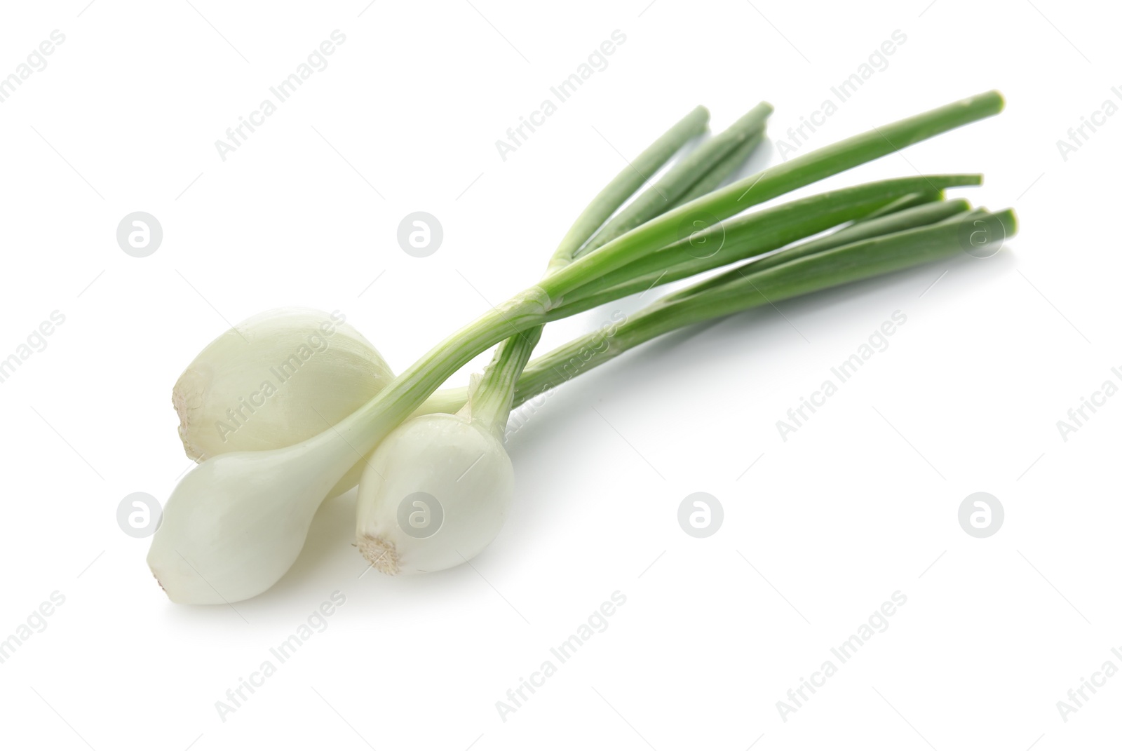 Photo of Fresh green onion on white background