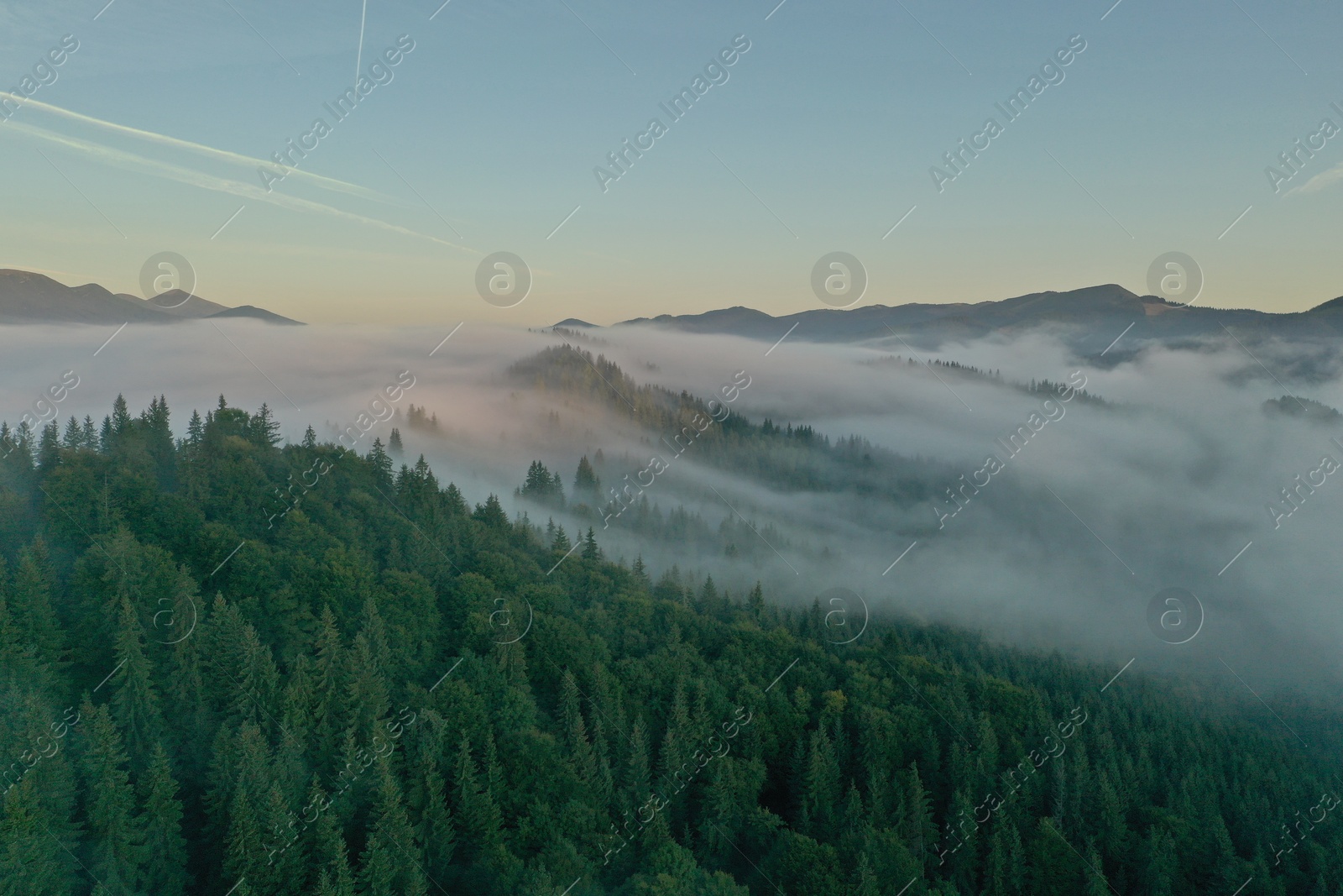 Photo of Aerial view of beautiful mountains and conifer trees on foggy morning