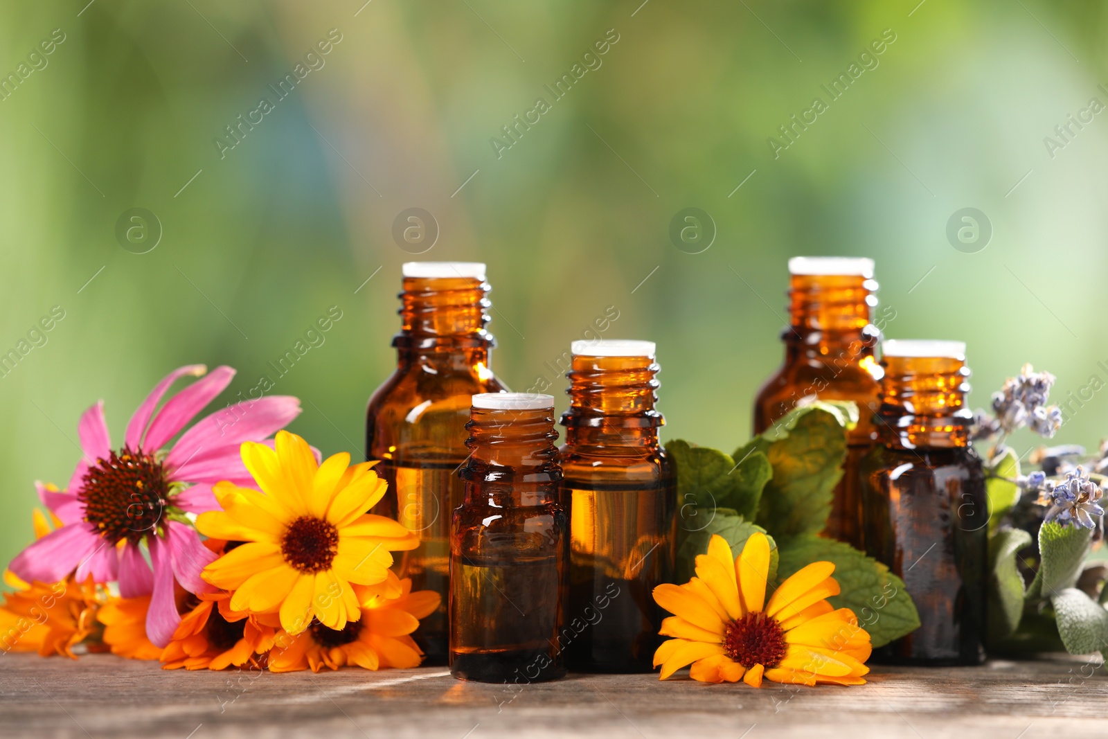 Photo of Bottles with essential oils, herbs and flowers on wooden table against blurred green background