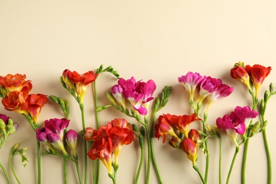Photo of Beautiful freesia flowers on color background, flat lay. Space for text