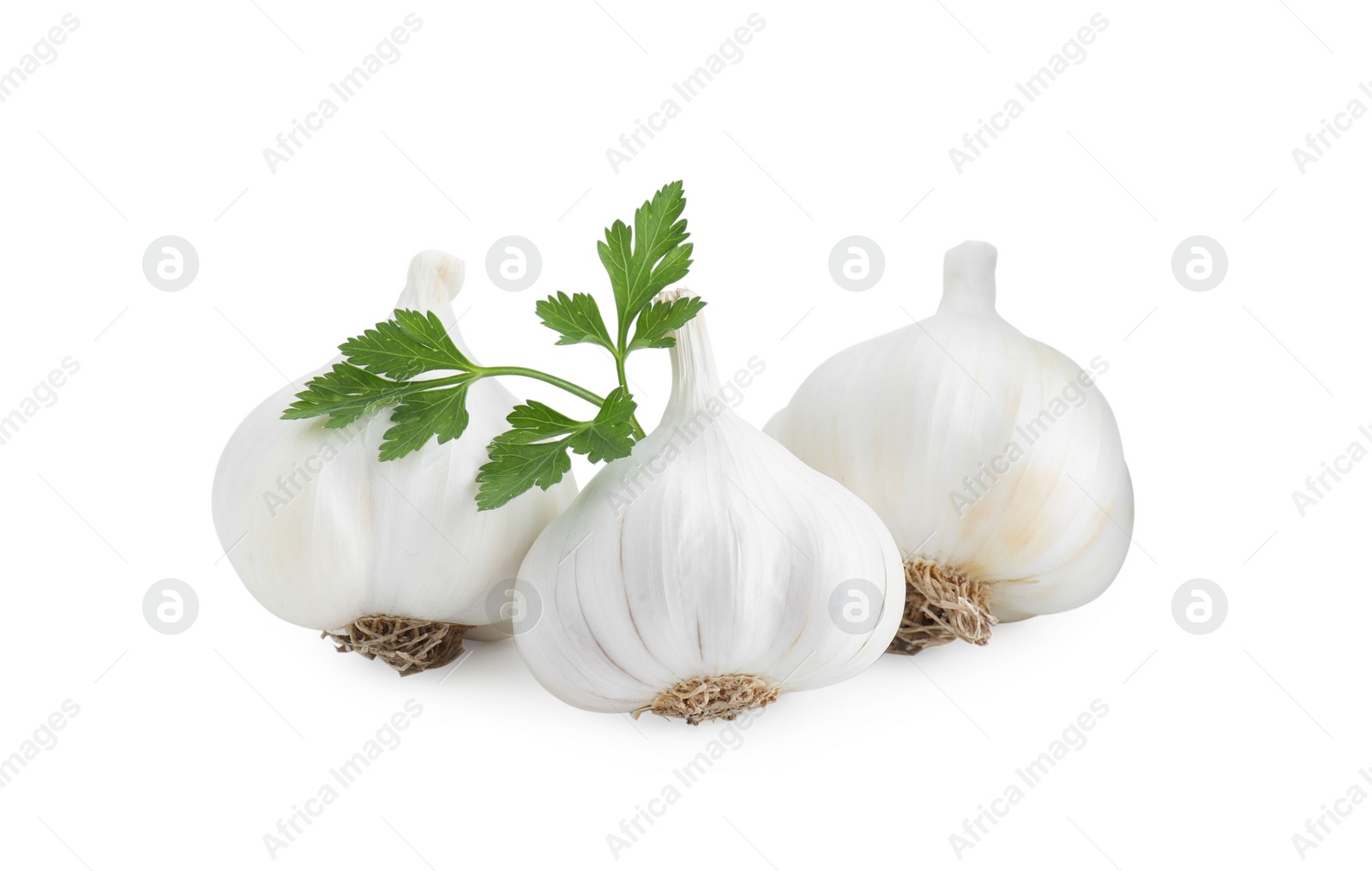 Photo of Fresh garlic heads and parsley isolated on white