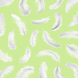 Image of Fluffy bird feathers falling on light green background