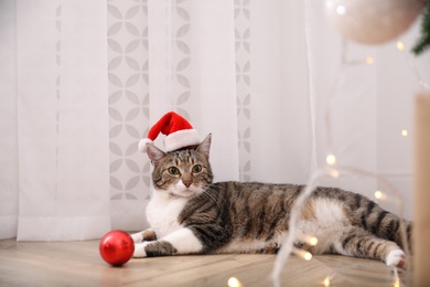 Photo of Cute cat wearing Santa hat with Christmas ball in room