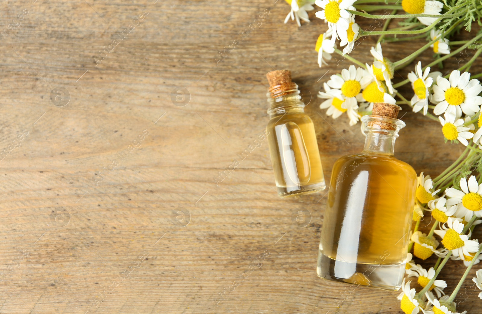 Photo of Bottles of essential oil and chamomiles on wooden table, flat lay. Space for text