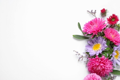 Photo of Composition with beautiful aster flowers on white background, top view