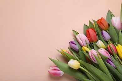 Beautiful colorful tulips on pale pink background, flat lay. Space for text