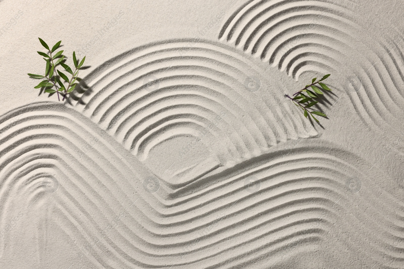 Photo of Beautiful patterns and branches on sand, top view. Zen garden