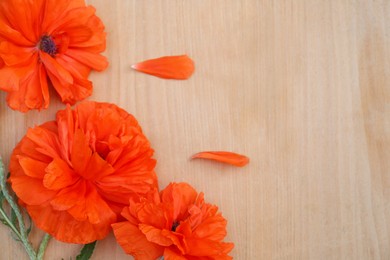 Photo of Beautiful bright red poppy flowers on wooden background, flat lay. Space for text