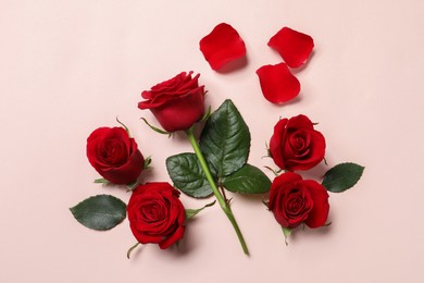 Beautiful red roses and petals on pale pink background, flat lay