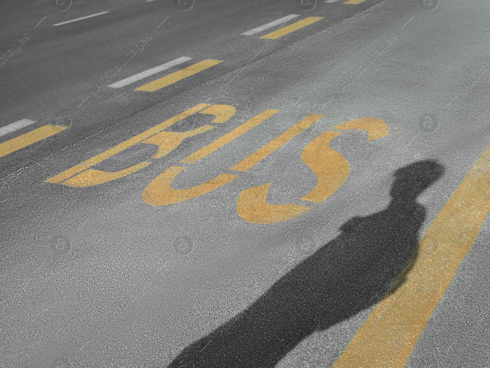 Photo of Bus stop pad and man's shadow on asphalt road