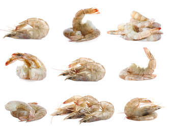 Set of fresh raw shrimps on white background