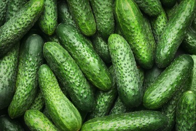 Photo of Fresh whole ripe cucumbers as background, top view