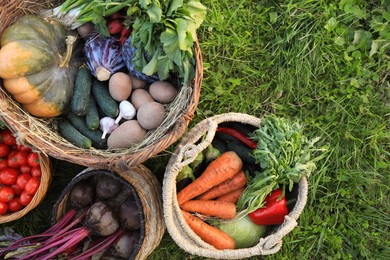 Different fresh ripe vegetables on green grass, flat lay