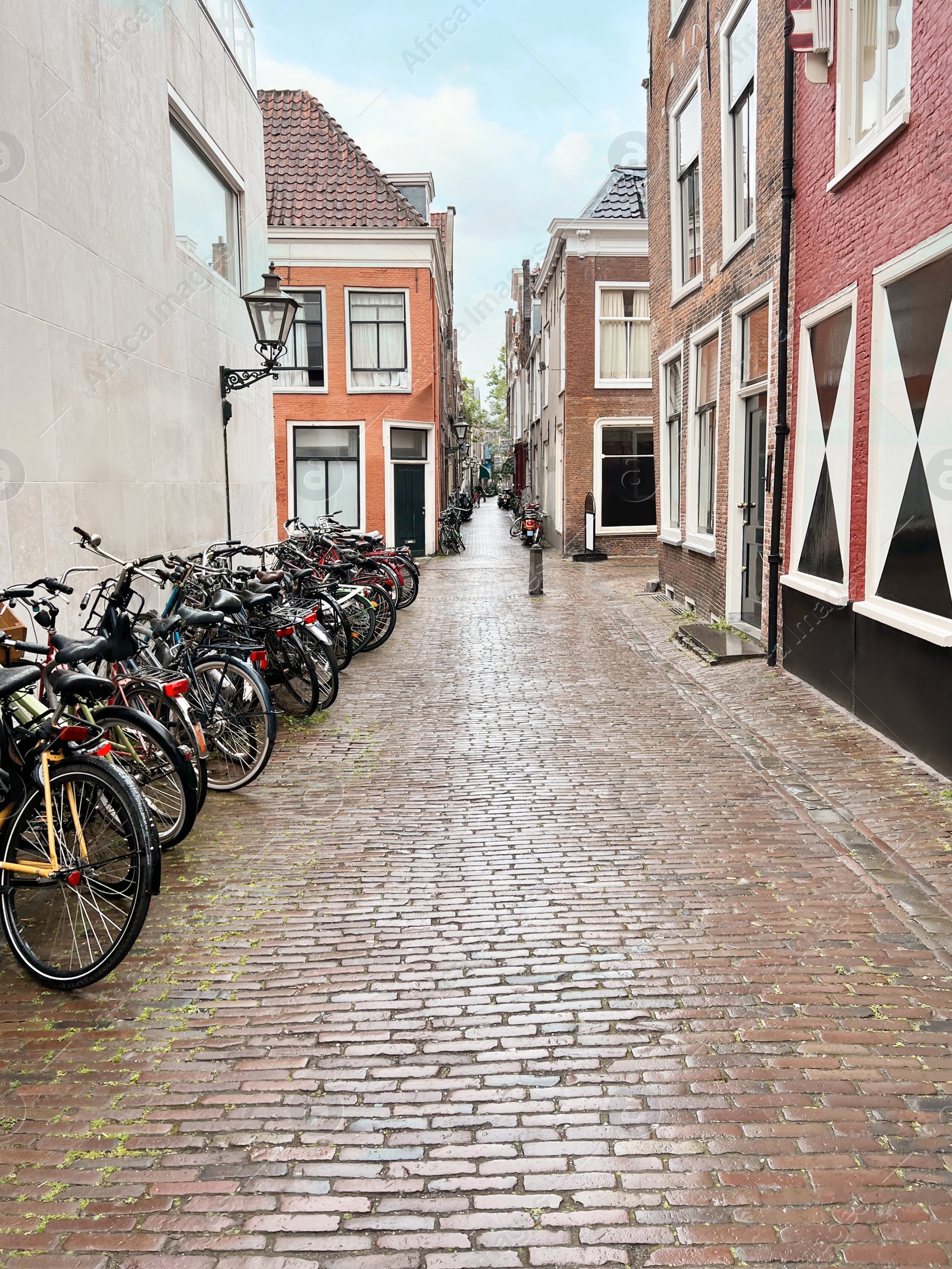 Photo of Many parked bicycles near building on city street