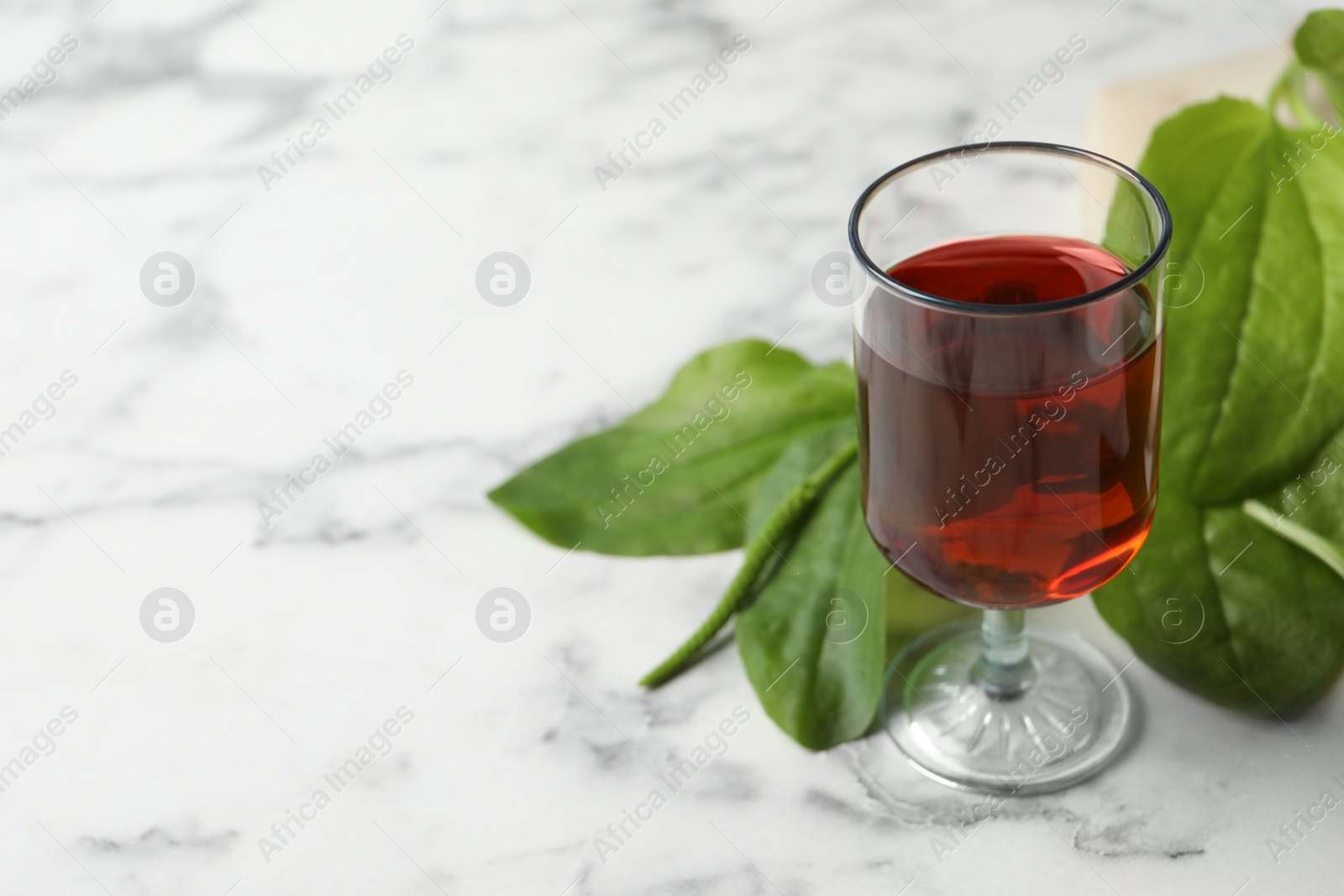 Photo of Broadleaf plantain tincture on white marble table, space for text