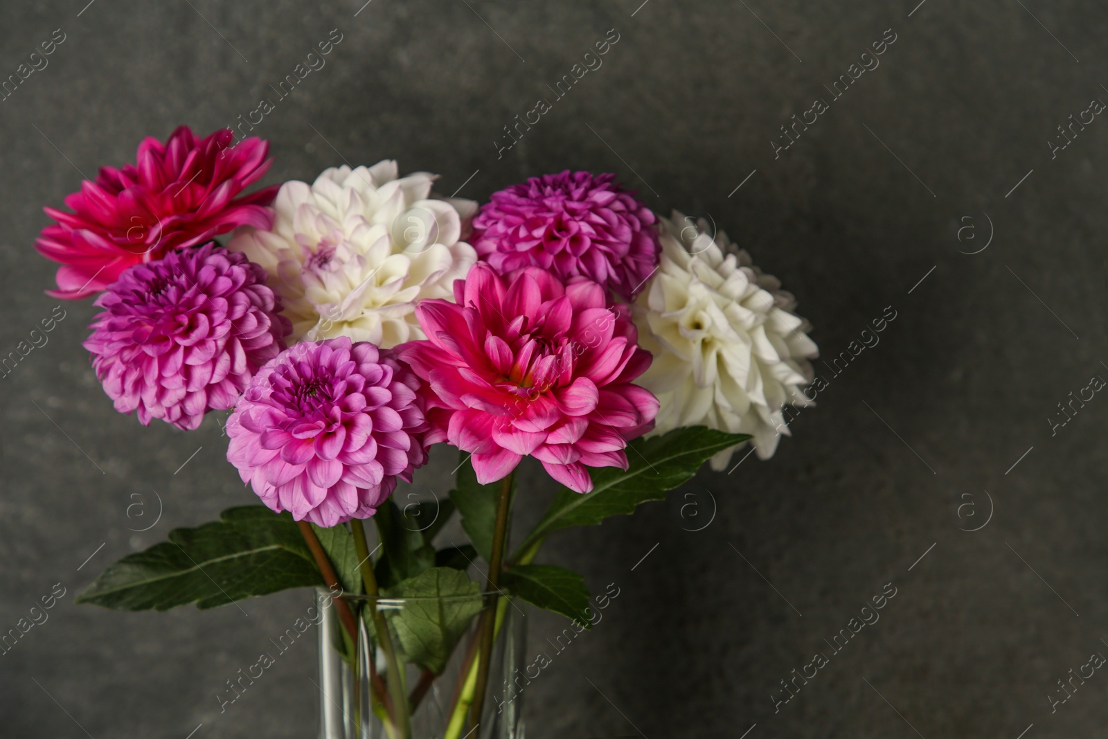 Photo of Bouquet of beautiful Dahlia flowers near dark grey wall. Space for text