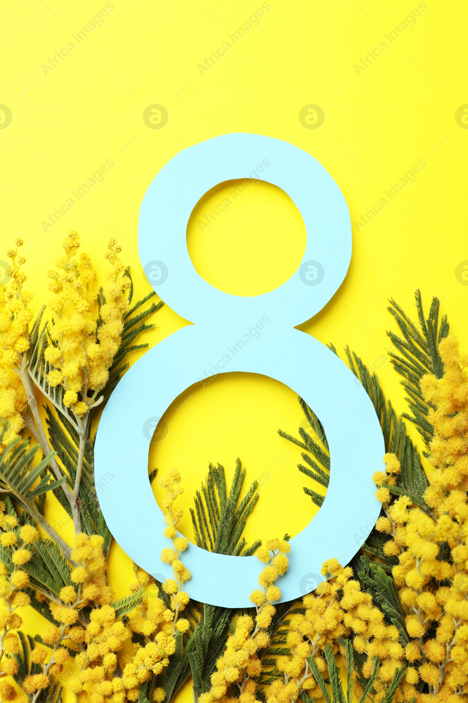 Photo of 8 March greeting card design with beautiful mimosa flowers on yellow background, flat lay