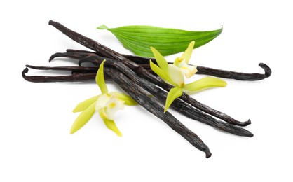 Vanilla pods, beautiful flowers and green leaf isolated on white