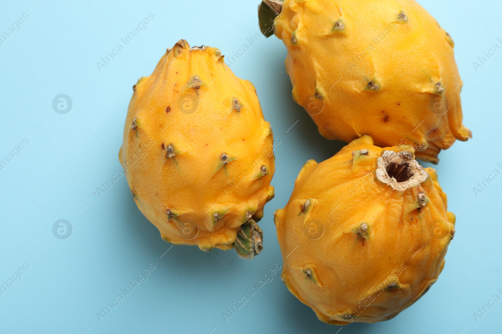 Photo of Delicious yellow pitahaya fruits on light blue background, flat lay
