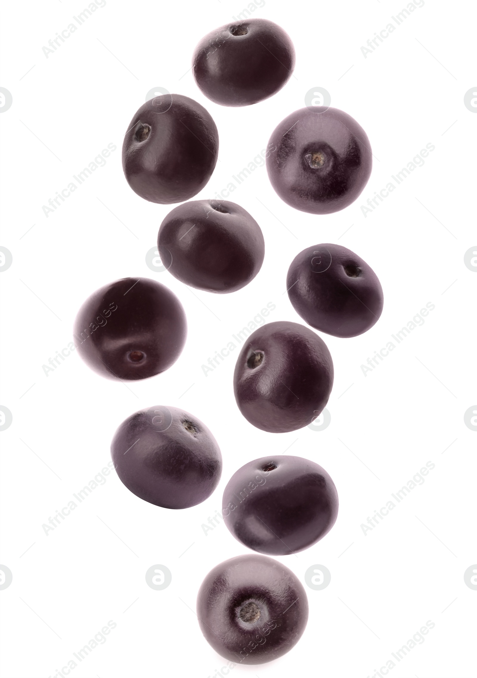 Image of Fresh acai berries falling on white background