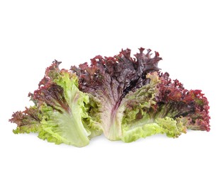 Photo of Leaves of fresh red coral lettuce isolated on white