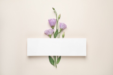 Photo of Flat lay composition with beautiful Eustoma flowers and card on beige background, space for text