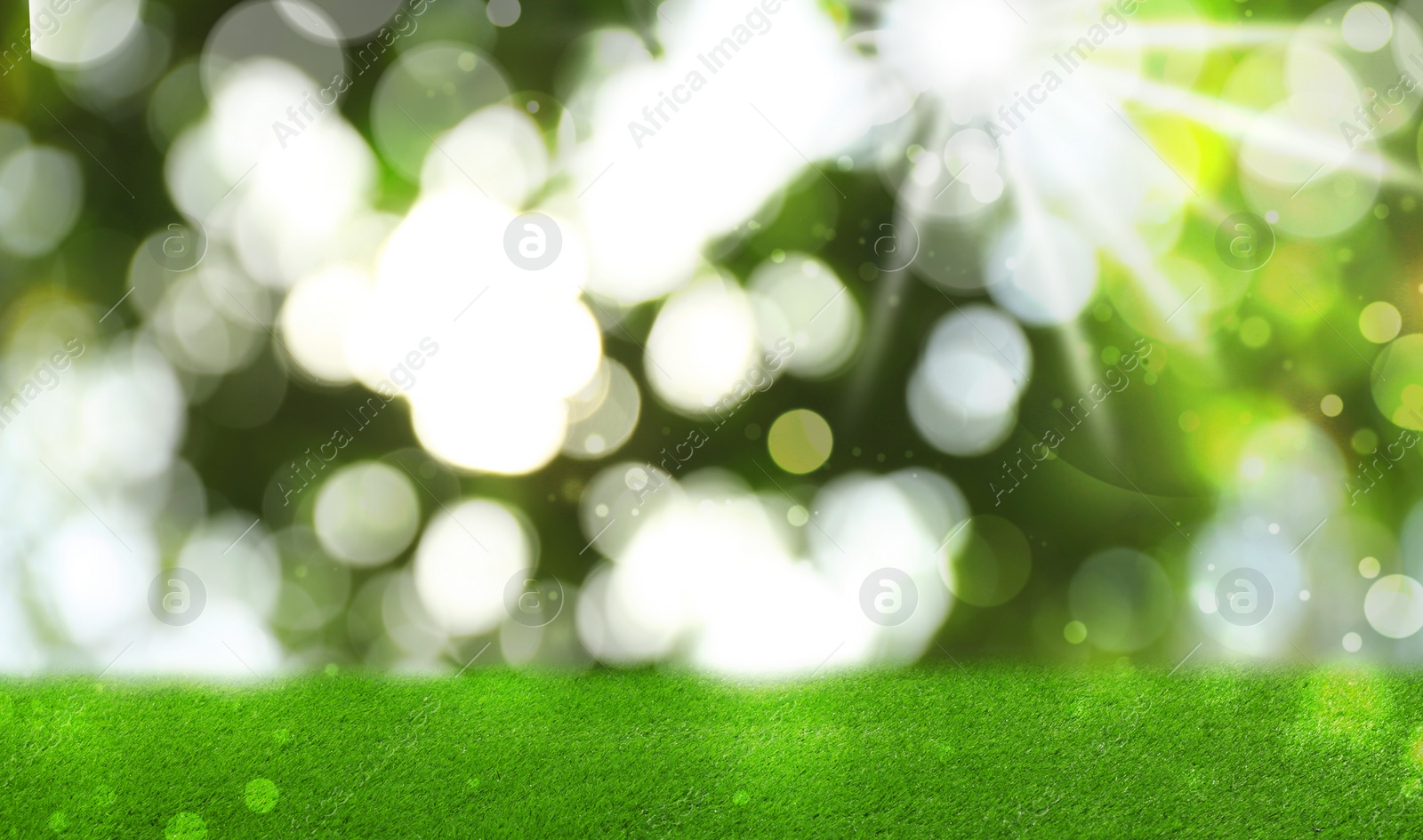 Image of Vibrant green grass outdoors on sunny day. Banner design