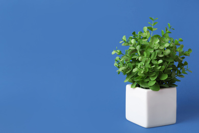 Photo of Beautiful artificial plant in flower pot on blue background, space for text