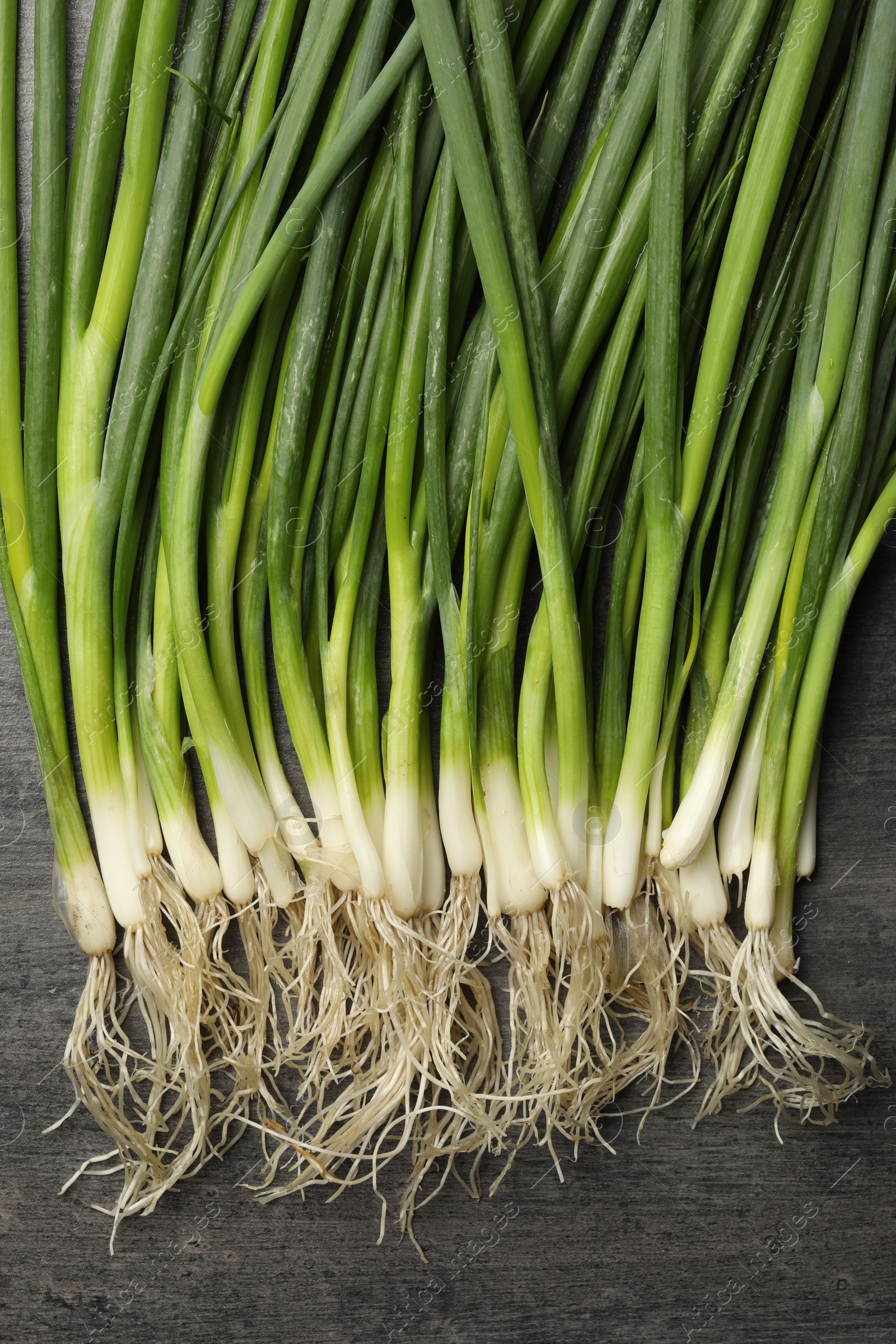 Photo of Fresh green spring onions on black wooden table, flat lay