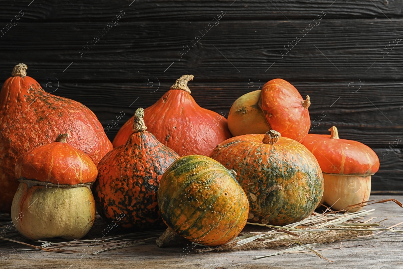 Photo of Different pumpkins on table against wooden wall. Autumn holidays