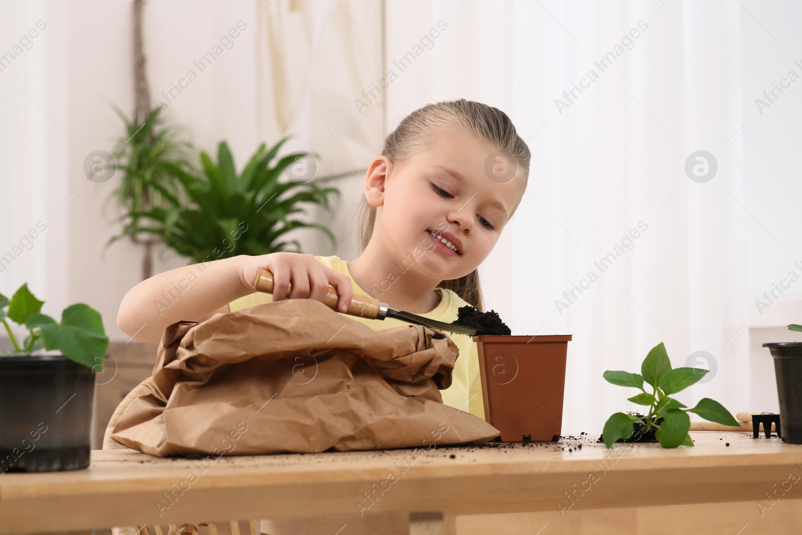 Photo of Cute little girl planting seedling into pot at wooden table in room