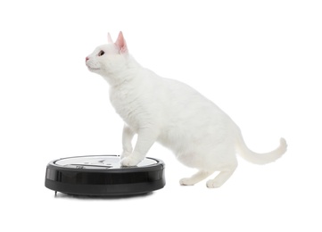 Modern robotic vacuum cleaner and cute cat on white background