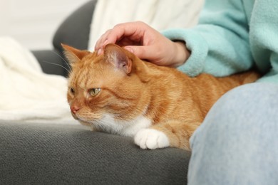 Photo of Woman petting cute cat on sofa at home, closeup