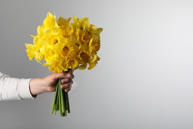 Woman holding beautiful daffodil bouquet on light grey background, closeup. Space for text