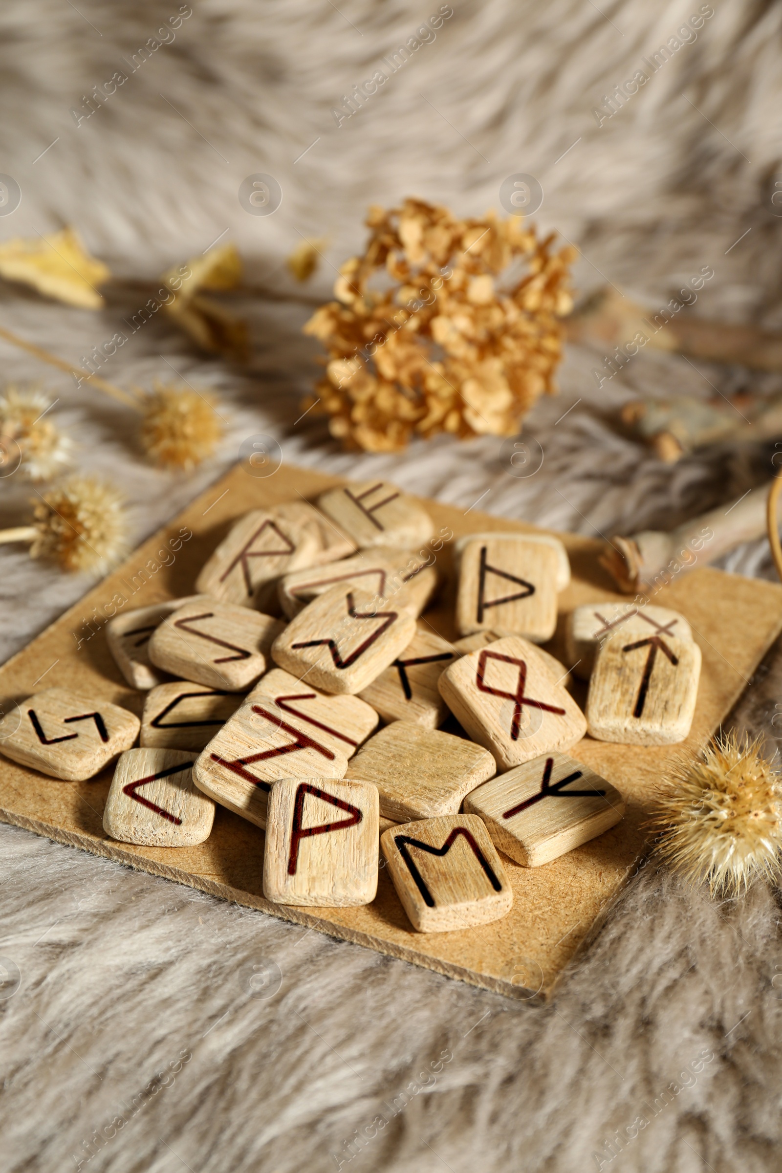 Photo of Many wooden runes and dried flowers on fur