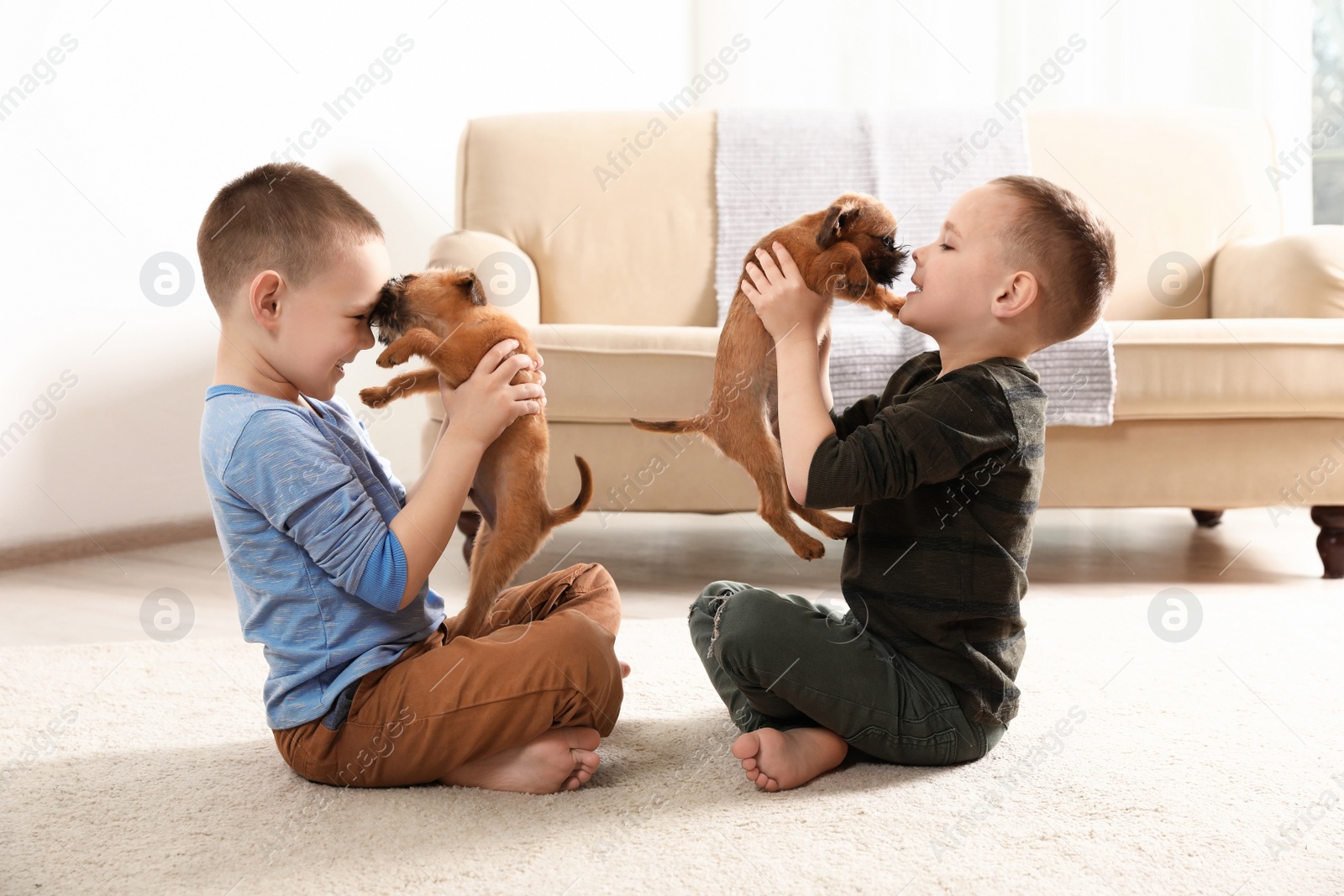 Photo of Portrait of cute boys with funny Brussels Griffon dogs at home. Loyal friends