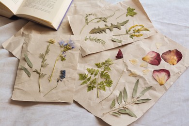 Photo of Sheets of paper with dried flowers and leaves on white fabric