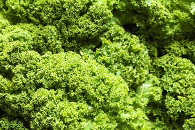 Photo of Fresh green kale leaves as background, closeup