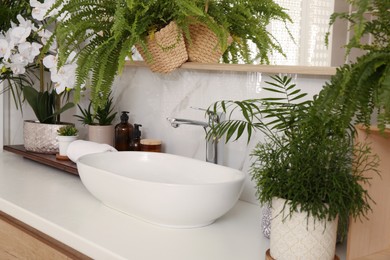 Photo of Counter with sink and many different houseplants near white marble wall